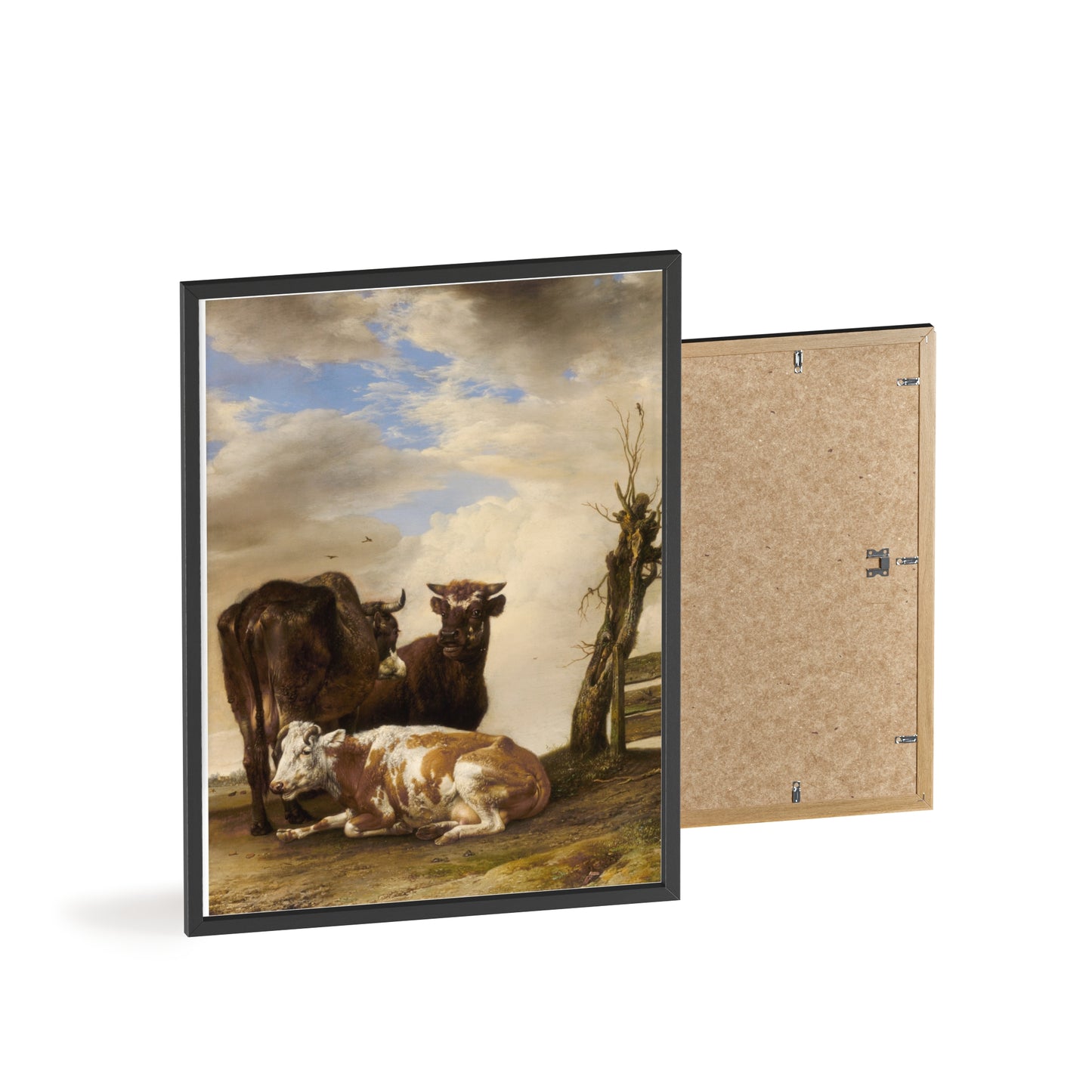 Posters with Wooden Frame