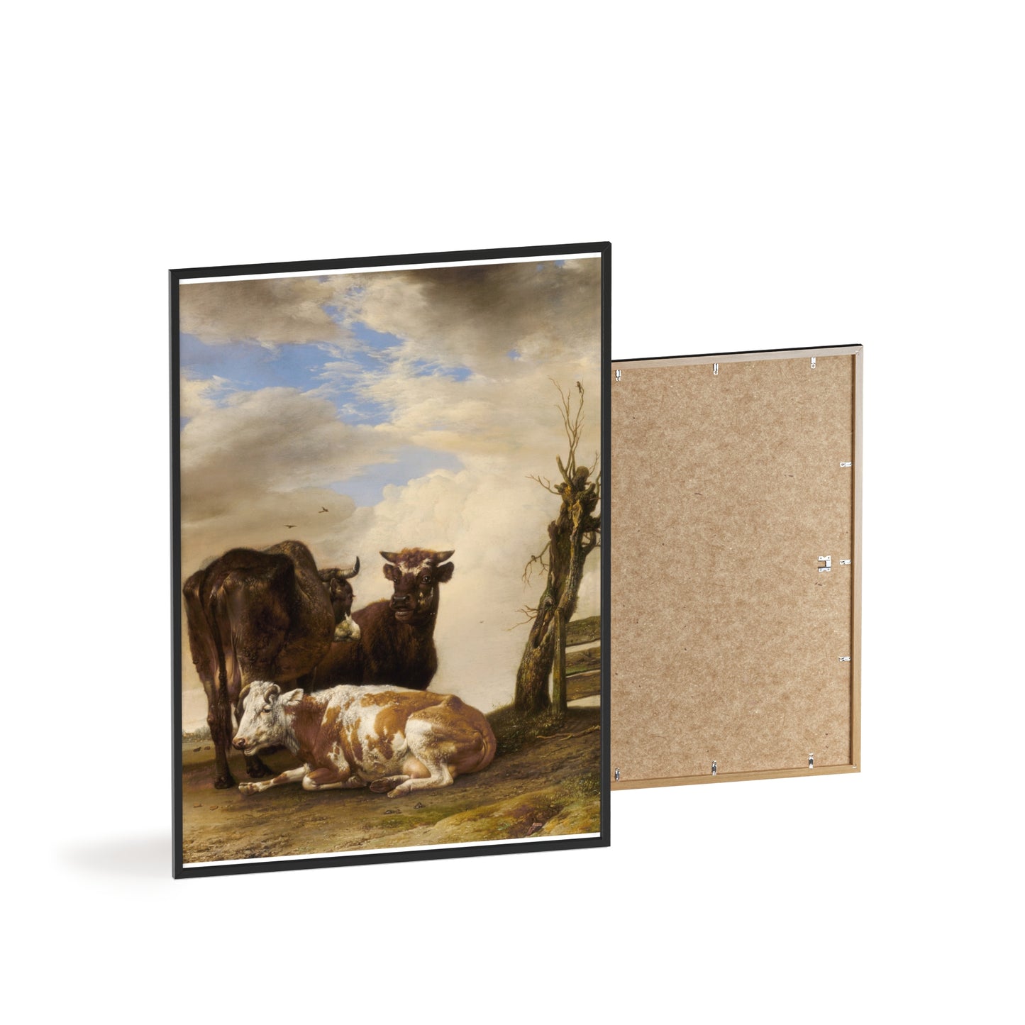 Posters with Wooden Frame