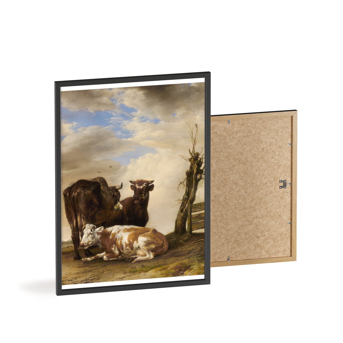 Posters with Wooden Frame
