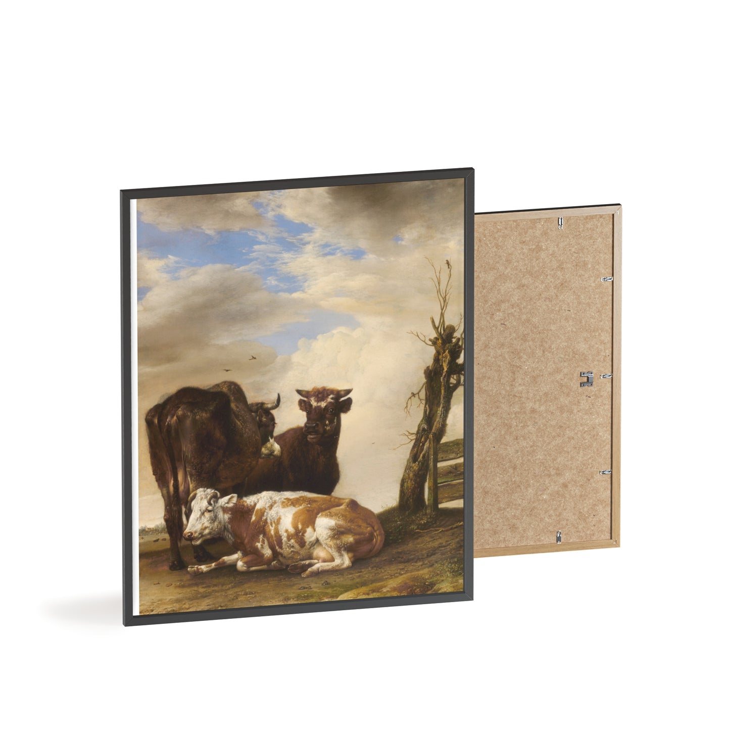Posters with Wooden Frame